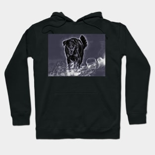 Beauceron Hoodie